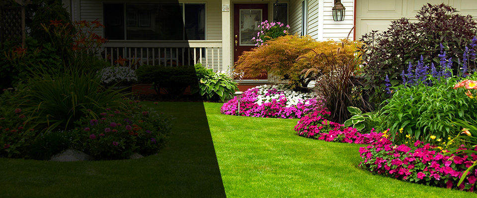 Ozona Landscapers