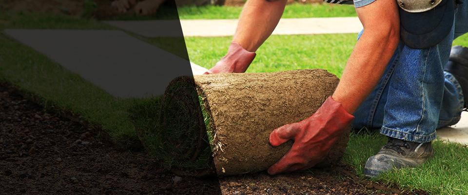Ozona Landscapers